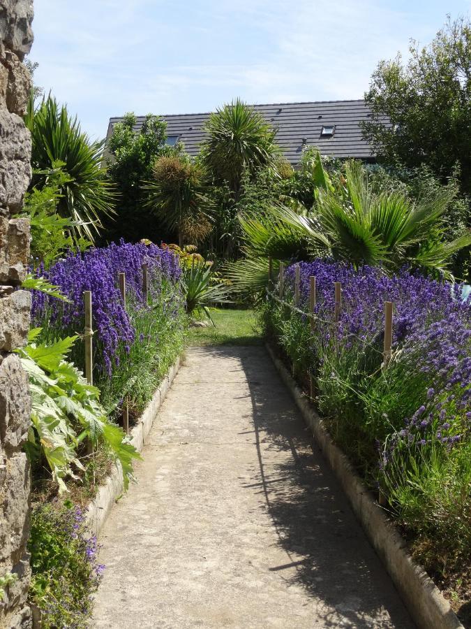Gite "Rose Des Sables" - 800M De La Plage De Surtainville, Proche Commerces - Piscine En Juillet Et Aout Pokój zdjęcie