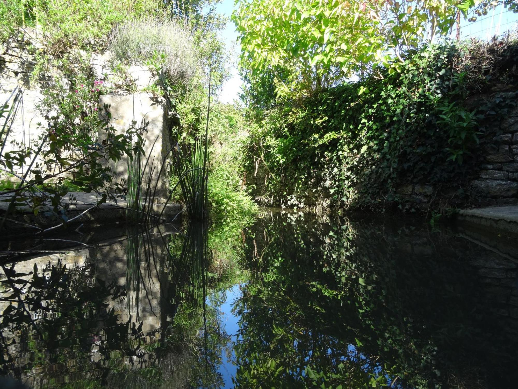 Gite "Rose Des Sables" - 800M De La Plage De Surtainville, Proche Commerces - Piscine En Juillet Et Aout Zewnętrze zdjęcie